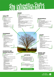 30.04.2020: Das interaktive Baumposter - Praxiserfahrungen in Form eines Baumkontrollleitfadens