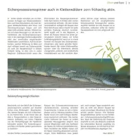 Eichenprozessionsspinner...
