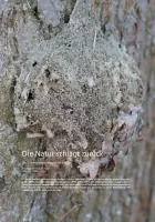 Die Natur schlägt zurück