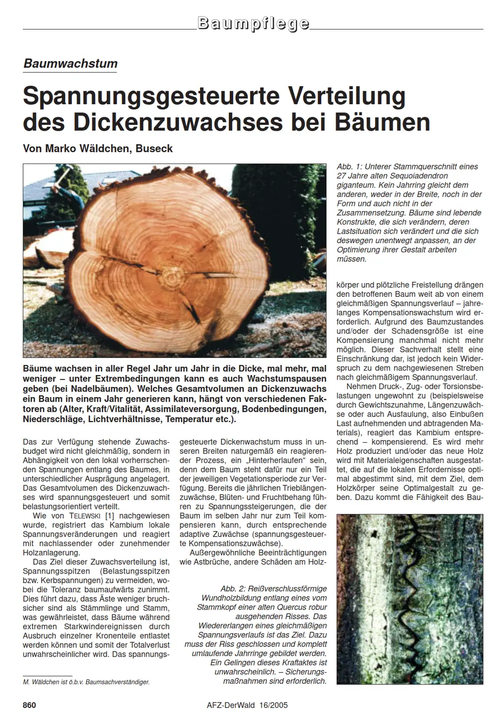 Screenshot des Magazon AFZ,
 Spannungsgesteuerte Verteilung des Dickenzuwachses bei Bäumen