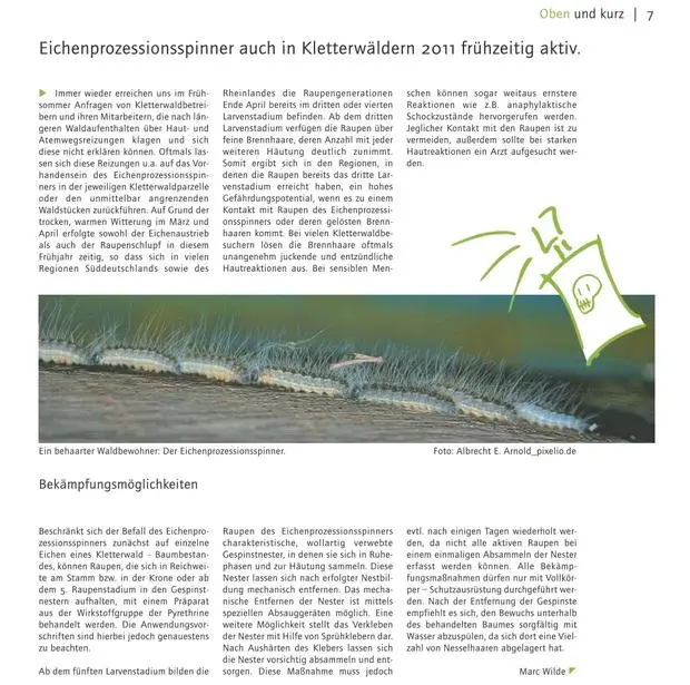 Bild Artikelvorschau Oben 2011-001