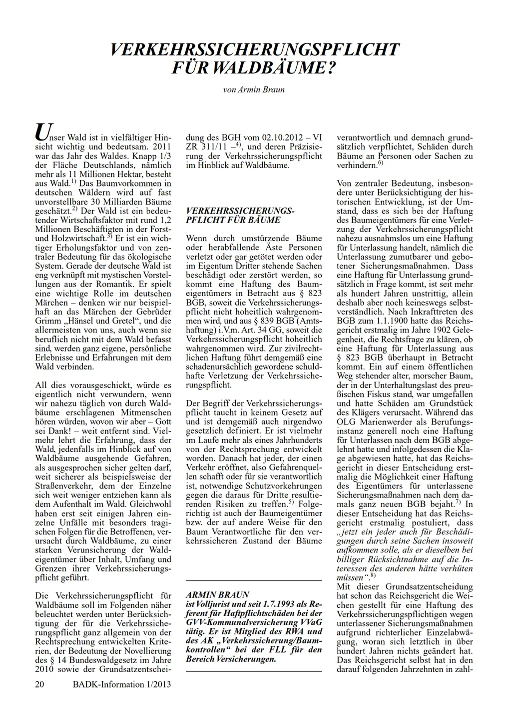 Screenshot vom PDF Artikel der ersten Seite