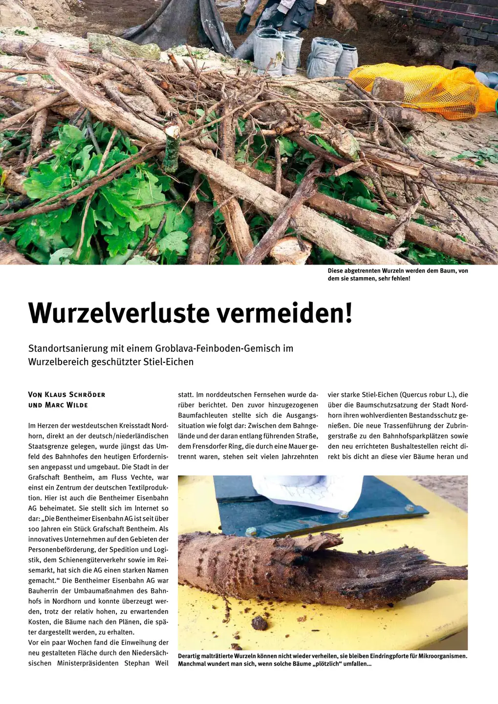 Screenshot vom PDF zum Artikel - Wurzelverlust vermeiden!