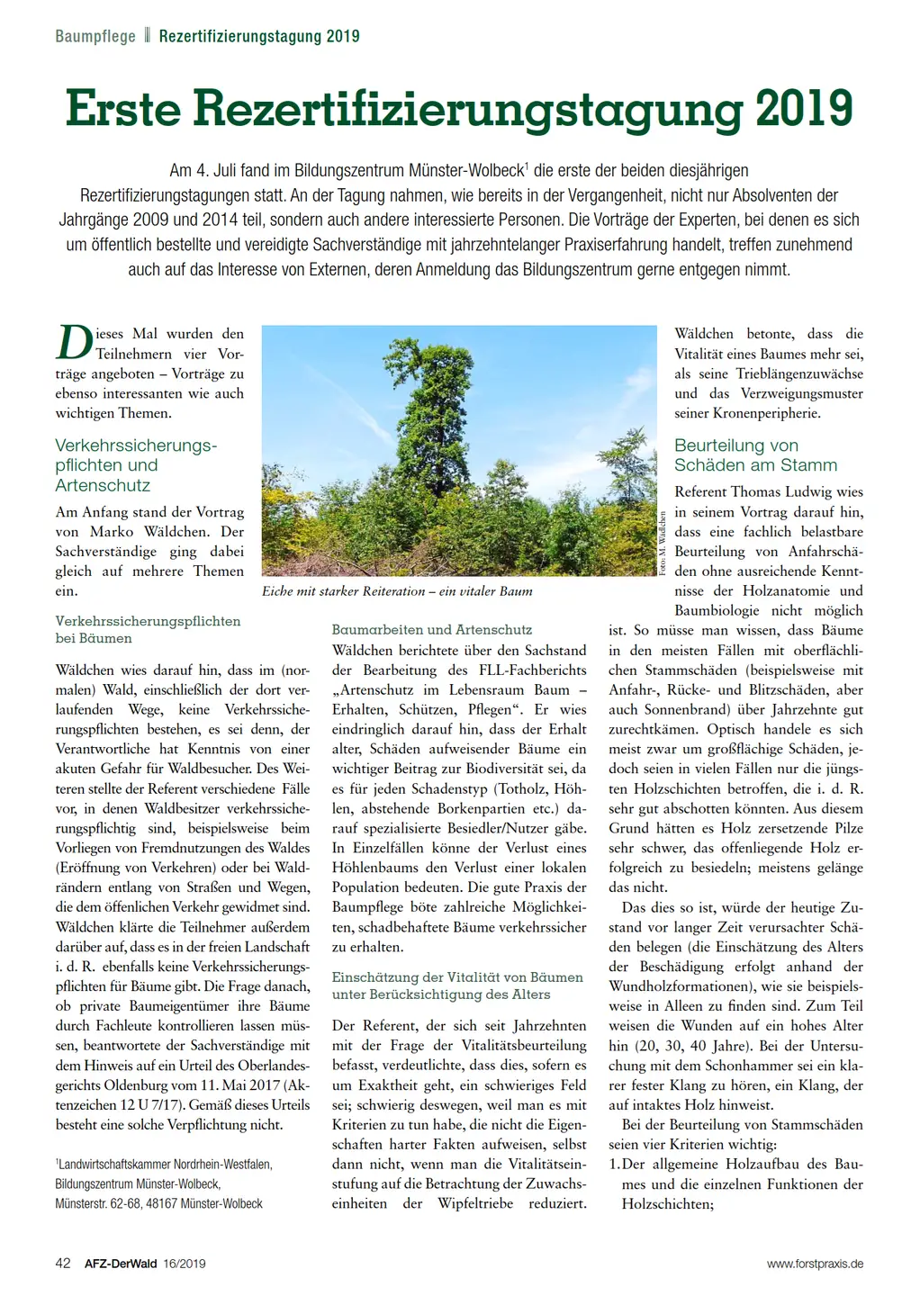 Ansicht des Artikels des Magazin AFZ Der Wald 16/2019