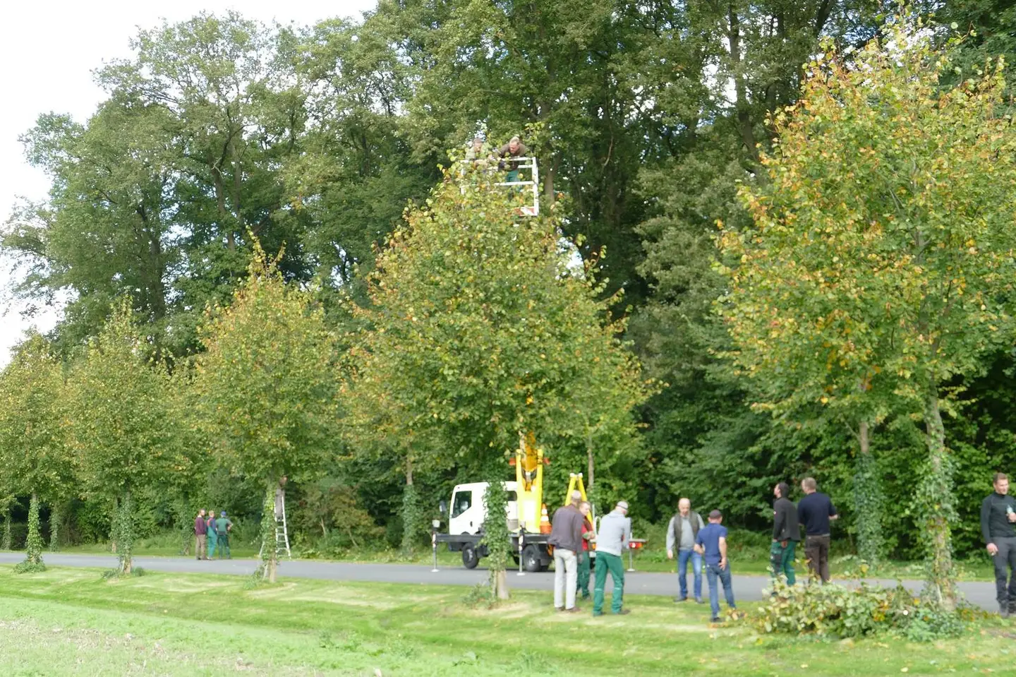 Bild mit Seminarteilnehmern in der natur, Wiese und Bäume sind zu sehen