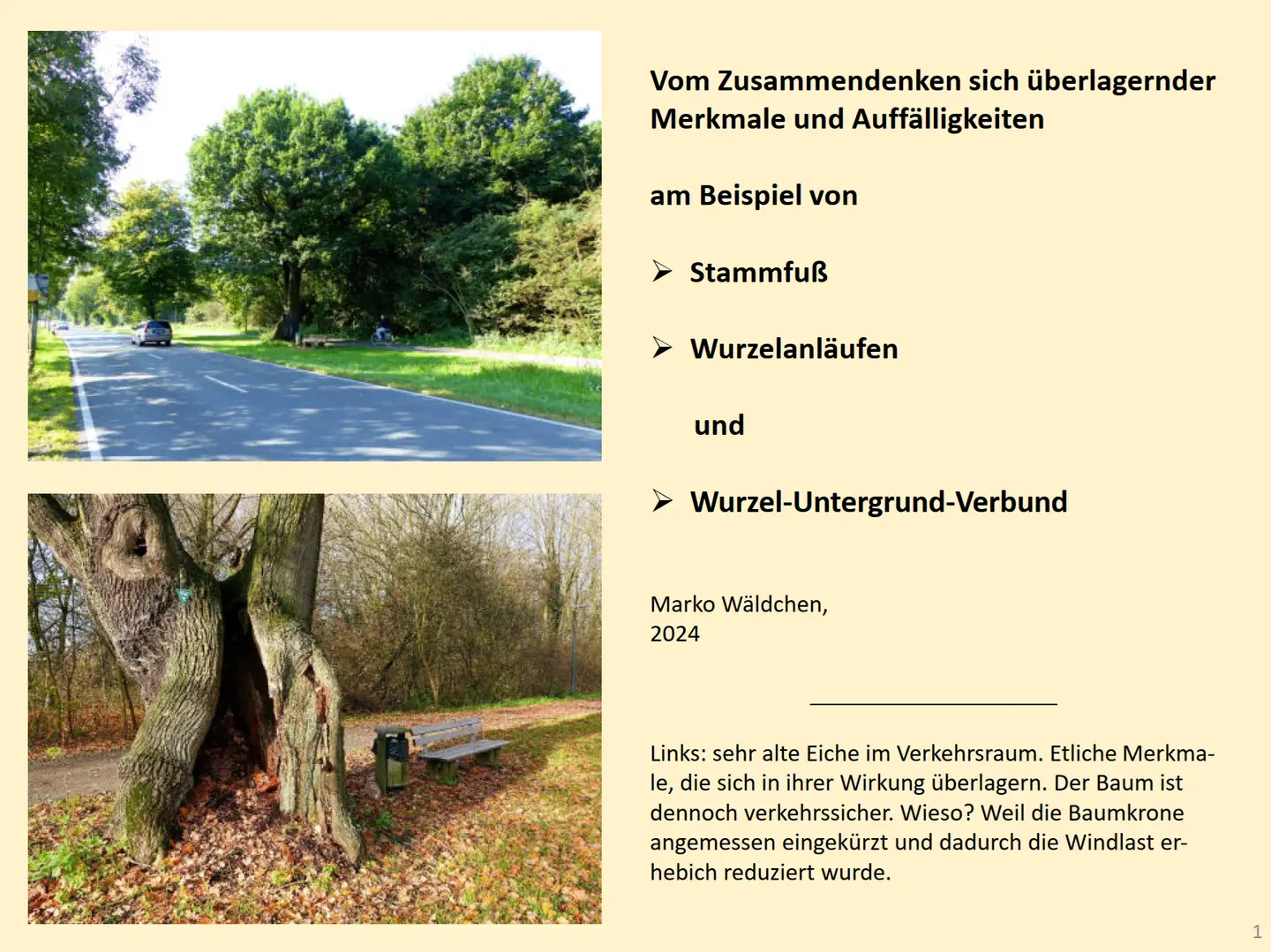 Erste Folie der Präsentation mit Bildern und Text