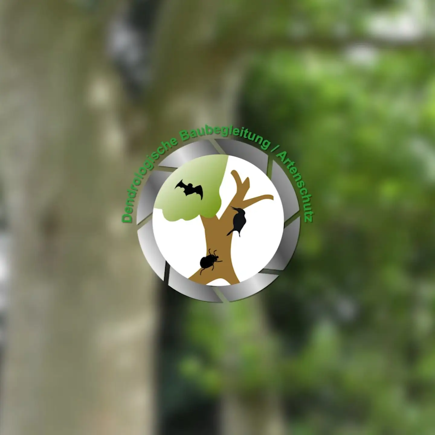 verschwommener Hintergrund,
 darauf ein Logo mit Baum und der Beschriftung Dendrologische Baumbegleitung/Artenschutz