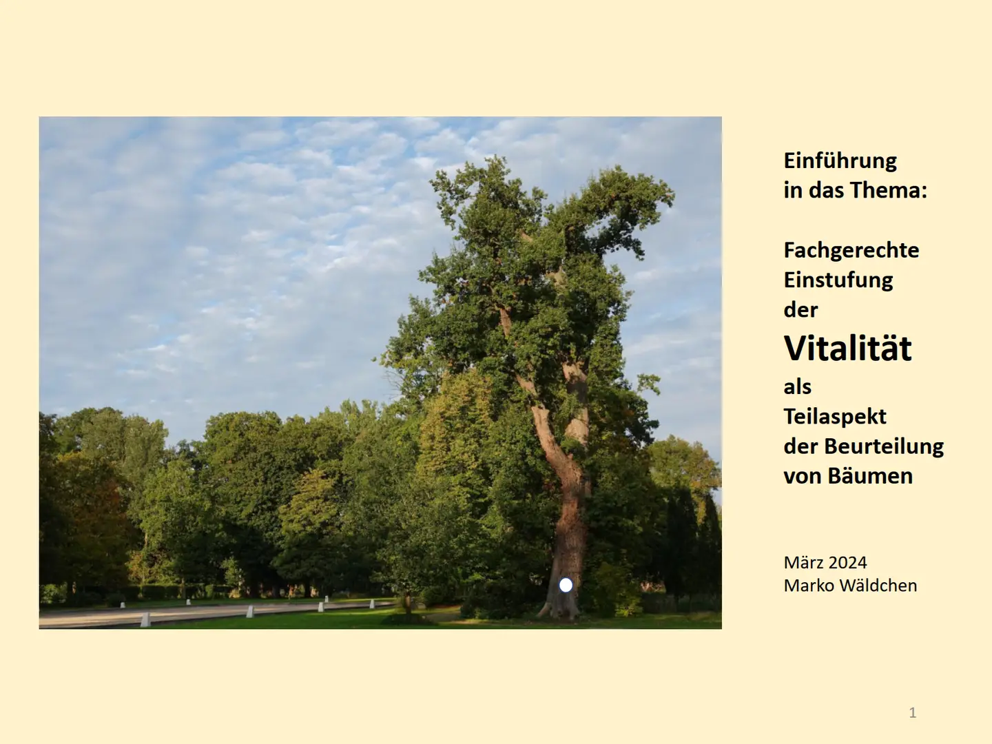 26.01.2023: Fachgerechte Einstufung der Vitalität als Teilaspekt der Beurteilung von Bäumen Bild eines Baumes,
rechts Beschreibung des Kapitel 4