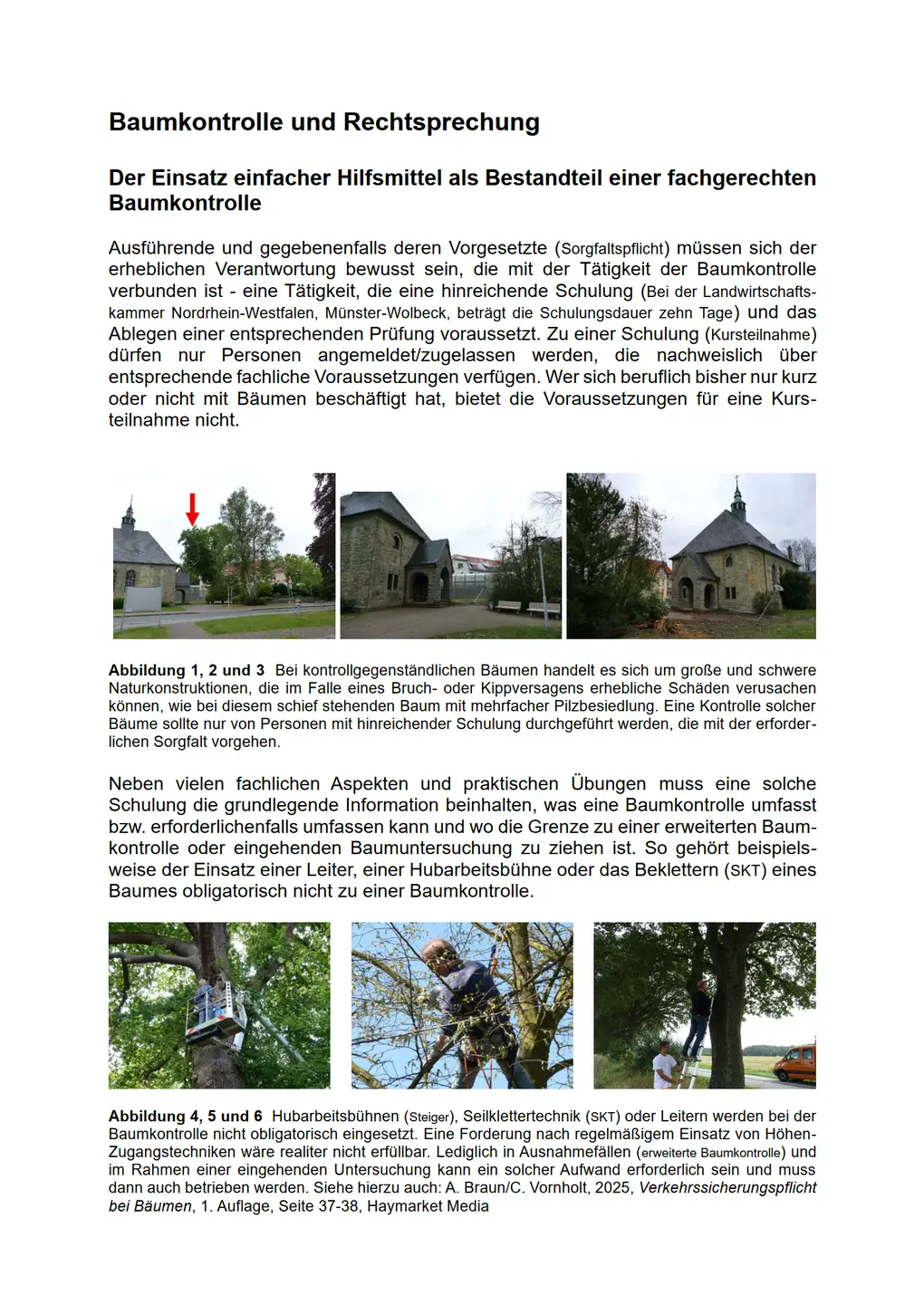 Screenshot des Artikels (PDF)